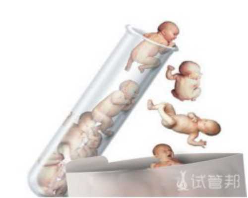 太原代孕生双胞胎,泰国试管婴儿后如何保胎？看这里_上海供卵试管公司有哪些